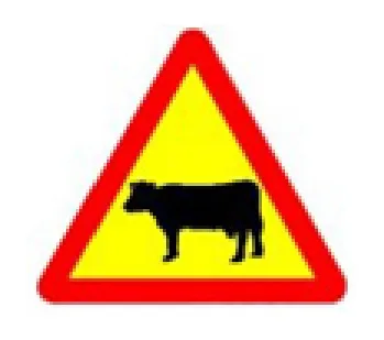 câu hỏi thi lái xe ô tô