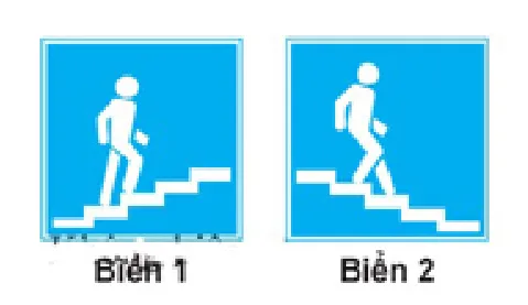 câu hỏi thi lái xe ô tô