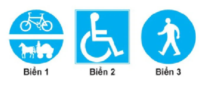 câu hỏi thi lái xe ô tô